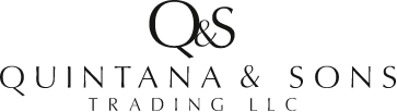 Light Logo